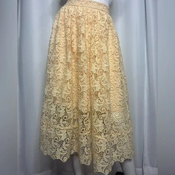 H&M Lace Midi skirt - Picture 5 of 12